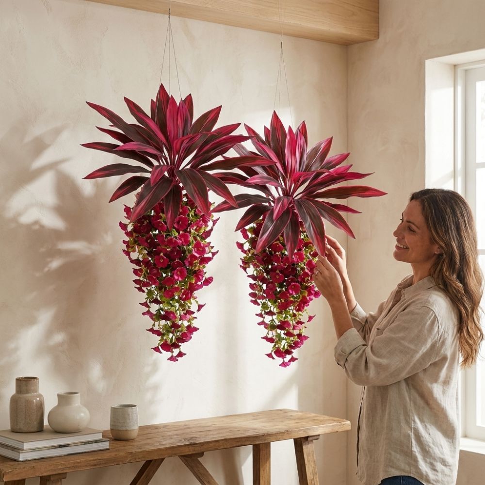 Tanaman Hias Gantung Dracaena  - Trail Mix ulasan dan harga