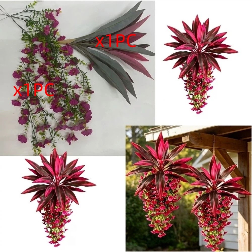 Tanaman Hias Gantung Dracaena  - Trail Mix ulasan dan harga